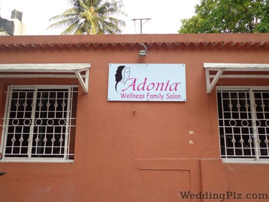 Adonia Wellness Family Salon Beauty Parlours weddingplz
