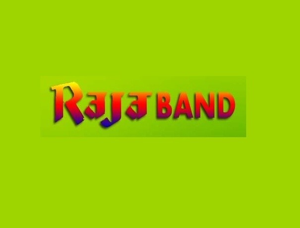 Raja Band Fireworks and Crackers weddingplz