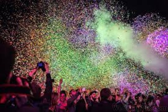 Spark Effects Fireworks Fireworks and Crackers weddingplz