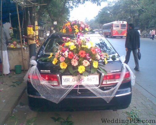 Uma Travels Rent a Car Luxury Cars on Rent weddingplz