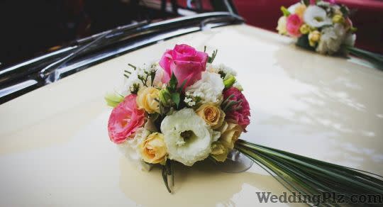 V Care Tours Luxury Cars on Rent weddingplz