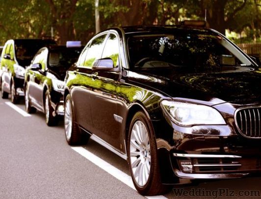 Global Vision Tours Taxi Services weddingplz