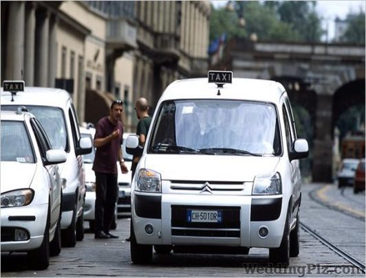 Alpine Holidays Taxi Services weddingplz