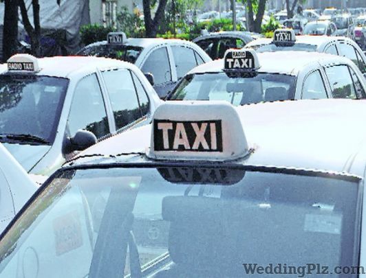Punjab Taxi Service Taxi Services weddingplz