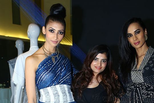 Guneet Virdi Makeup Artists weddingplz