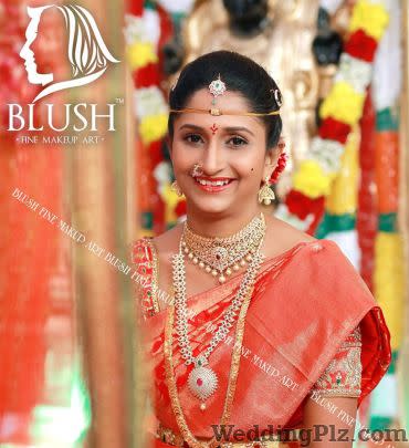 Blush Fine Makeup Art Makeup Artists weddingplz