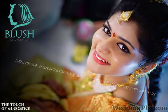 Blush Fine Makeup Art Makeup Artists weddingplz