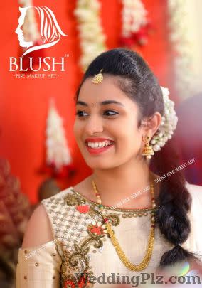 Blush Fine Makeup Art Makeup Artists weddingplz