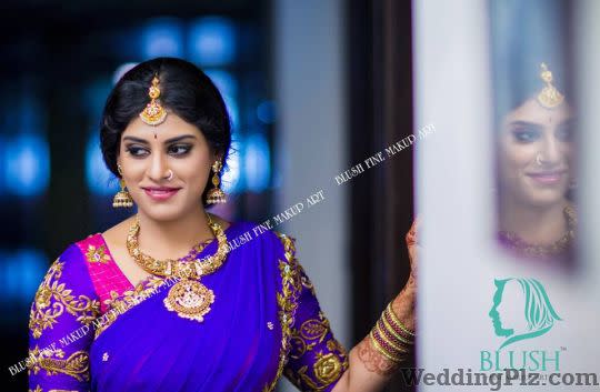 Blush Fine Makeup Art Makeup Artists weddingplz
