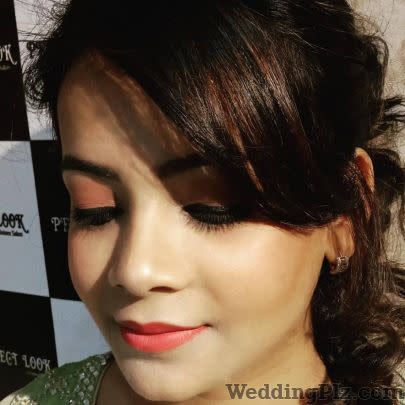 Perfect Look Jaipur Makeup Artists weddingplz