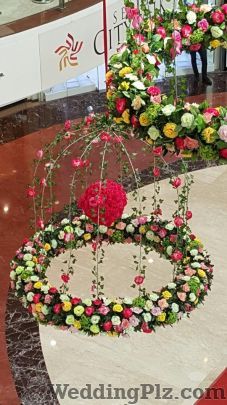 All Time Celebrations Trousseau Packer weddingplz