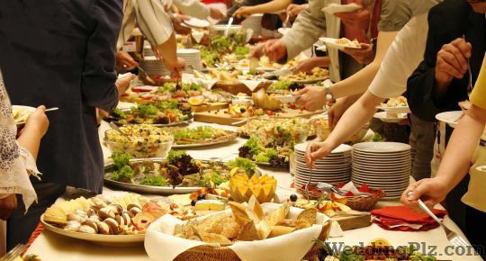 Avsar Caterers and Decorators Caterers weddingplz