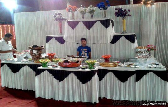 Babaji Caterers and Decorater Caterers weddingplz