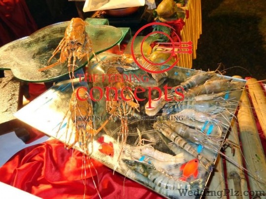 Feeding Concepts Caterers weddingplz