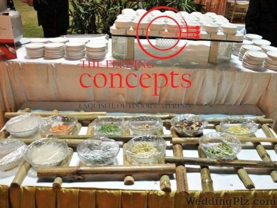 Feeding Concepts Caterers weddingplz