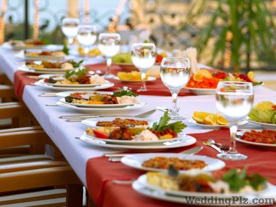 Zayca Caterers Pvt Ltd Caterers weddingplz