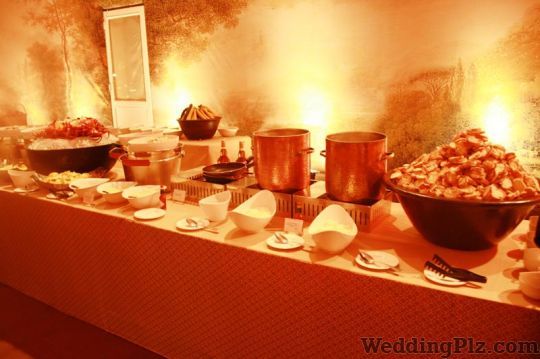 White Apron Caterers weddingplz