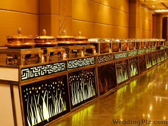 Elitz Catering Caterers weddingplz