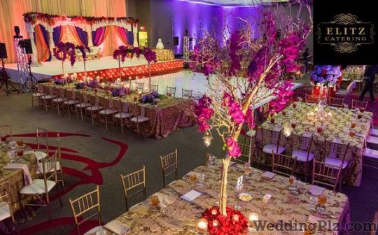 Elitz Catering Caterers weddingplz