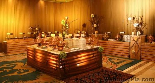 Elitz Catering Caterers weddingplz