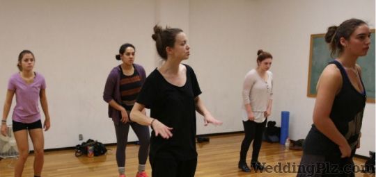 Zari Dabce Academy Choreographers weddingplz