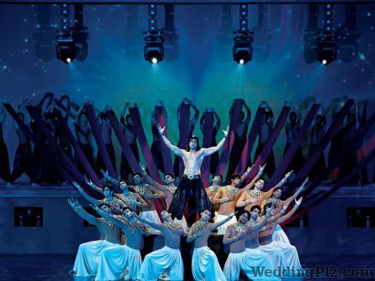 Shiamak Choreographers weddingplz