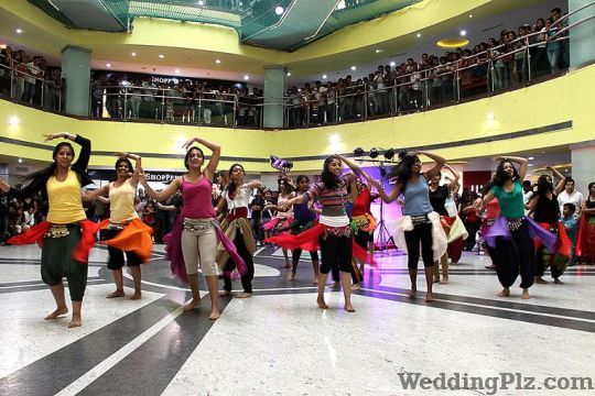 Payals Dance Academy Choreographers weddingplz