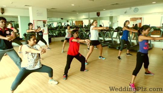 Zealers Dance Studio Choreographers weddingplz