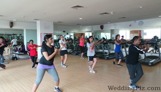 Zealers Dance Studio Choreographers weddingplz