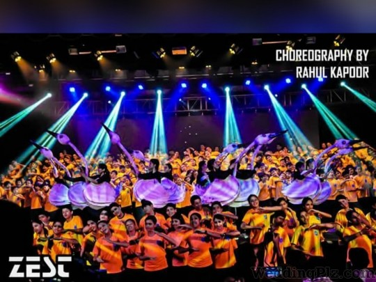 Zest Events Choreographers weddingplz
