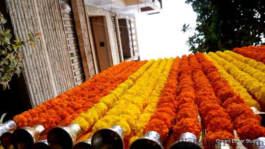 Dream Decor Studio Decorators weddingplz