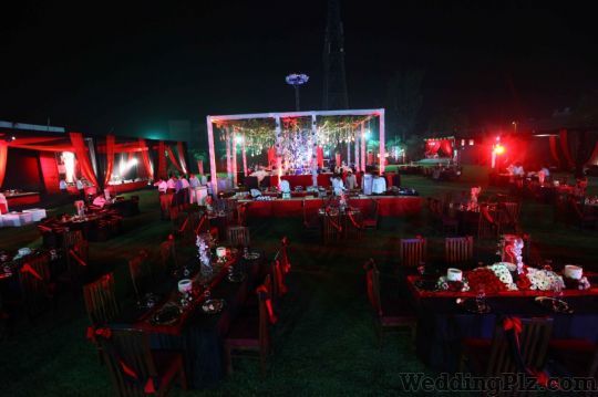 Chilliworx Studio Decorators weddingplz