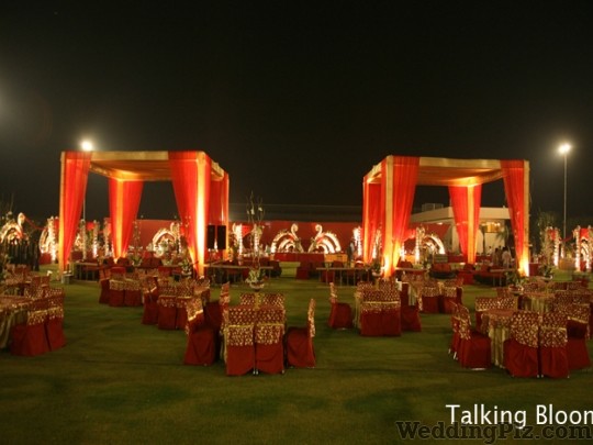 Talking Blooms Decorators weddingplz