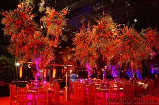 Kalikaar Design Decorators weddingplz