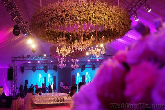 Kalikaar Design Decorators weddingplz