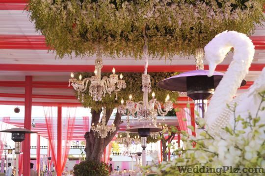 Kalikaar Design Decorators weddingplz