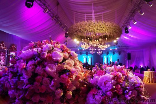 Kalikaar Design Decorators weddingplz