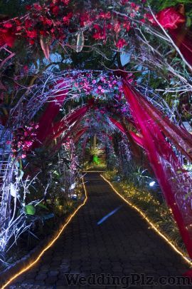 Meghaa Flower Box Decorators weddingplz