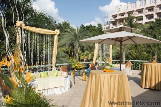 Meghaa Flower Box Decorators weddingplz