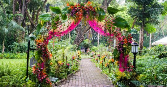 Meghaa Flower Box Decorators weddingplz