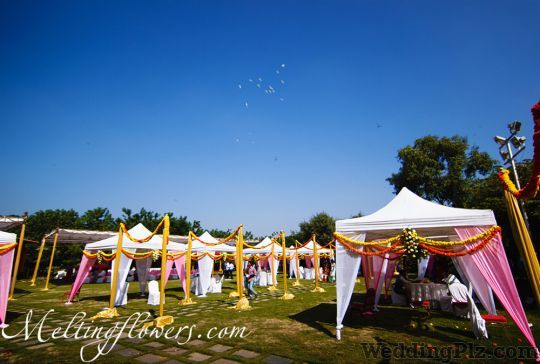 Melting Flowers Decorators weddingplz