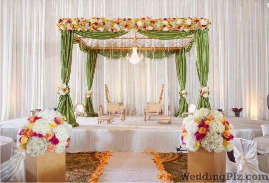 Velvet Ferns Decorators weddingplz