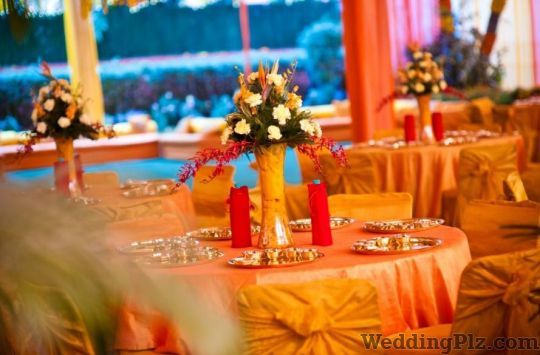 Velvet Ferns Decorators weddingplz