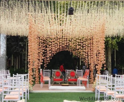 Rani Pink Decorators weddingplz