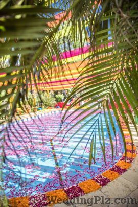 Stallion Events Decorators weddingplz