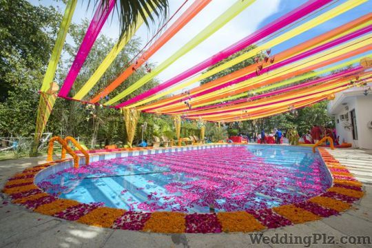 Stallion Events Decorators weddingplz