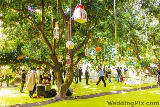 Stallion Events Decorators weddingplz