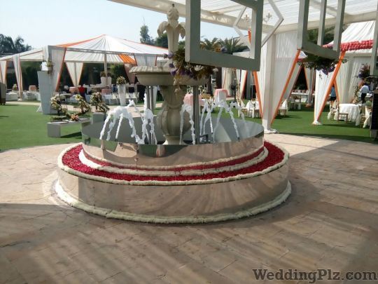 Decoring Lives Decorators weddingplz