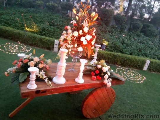 Decoring Lives Decorators weddingplz