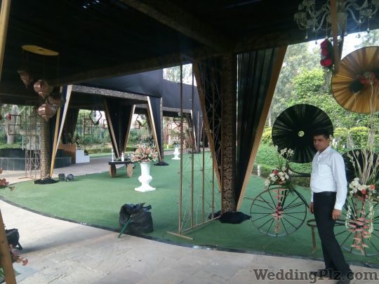 Decoring Lives Decorators weddingplz